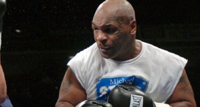 tyson vuelve