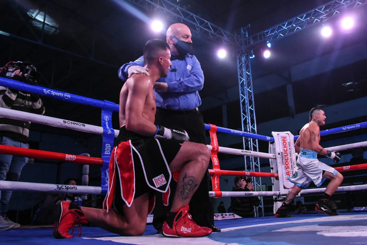 andrade boxer andrade boxer