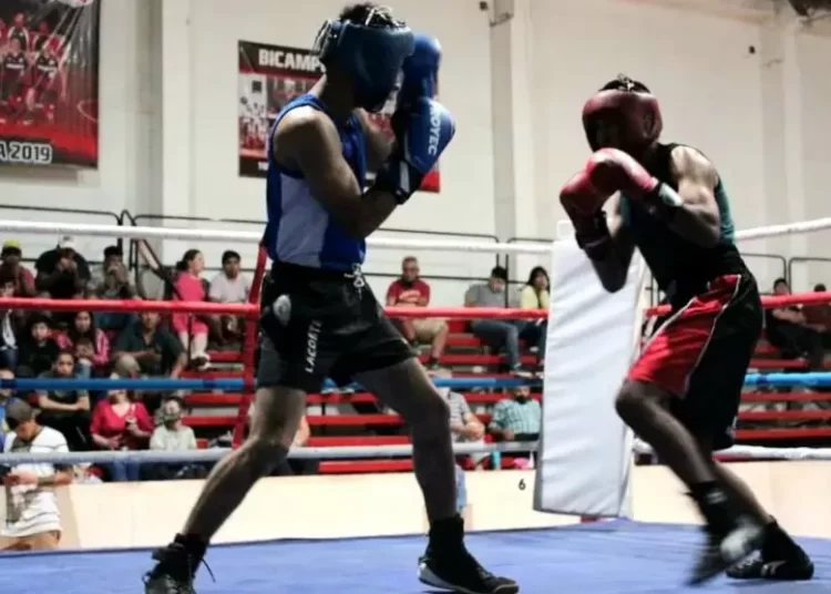 El mejor boxeo juvenil del país llega a Río Negro