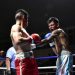 José Vargas, mejor en la balanza; indiscutido en el ring
