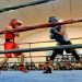 Puerto San Julián y una noche amateurs para sumar