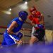 Regreso del boxeo amateur con festival en Gaiman