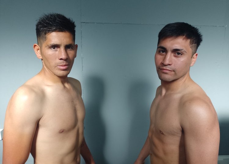 Mansilla y Vergara, pesos en regla, listos para pelear