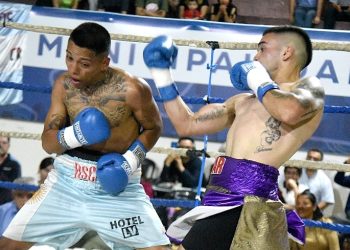 Delegación de profesionales viaja a Valdivia