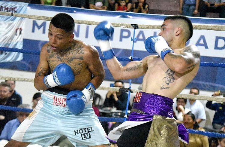 Delegación de profesionales viaja a Valdivia