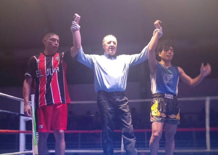 Un año de boxeo amateur resumido en palabras