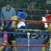 El boxeo de Santa Cruz pasó por Río Gallegos