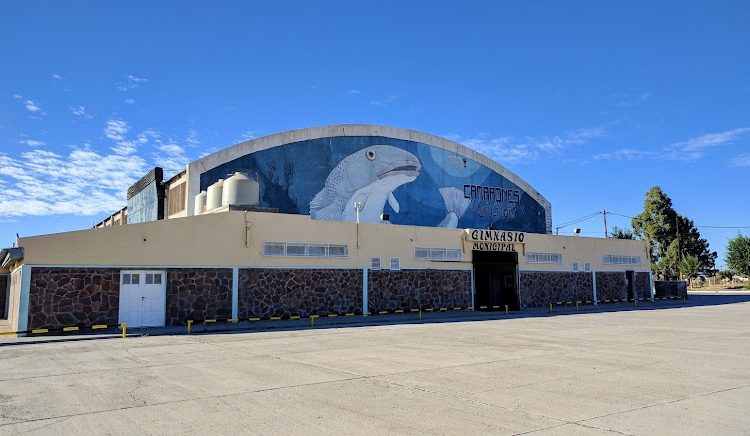 Camarones y el XII «Aguante corazón, que hay boxeo»