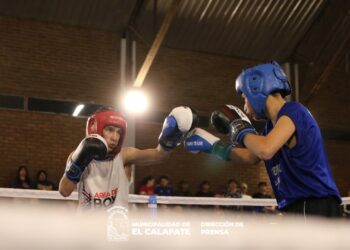 Gran Velada de Boxeo en el Palito Cherbukov