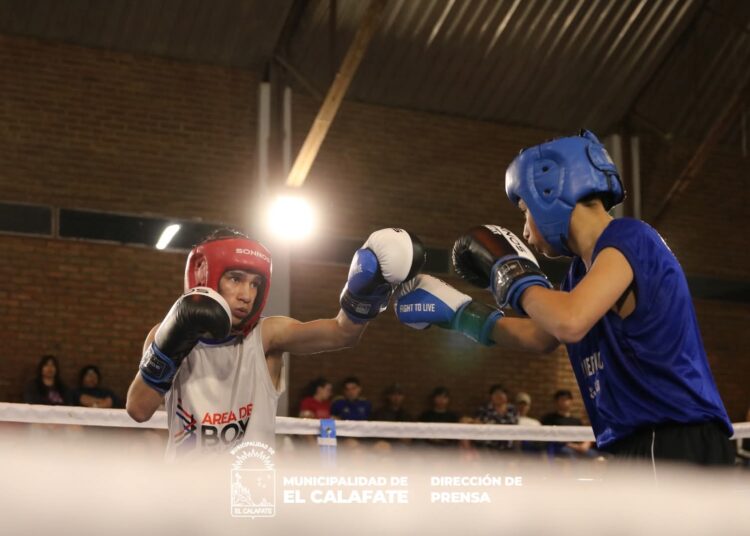 Gran Velada de Boxeo en el Palito Cherbukov