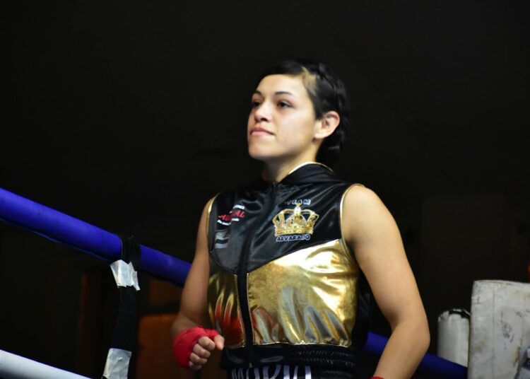 Postergan festival del 20/02 en el Municipal Uno