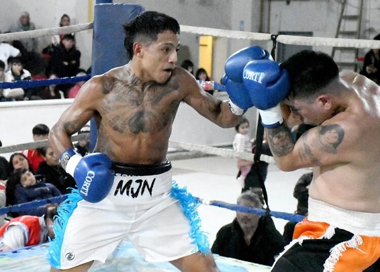 Noria, velocidad y ataque para hacer la diferencia