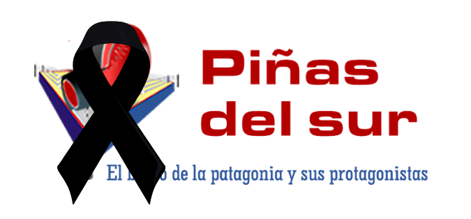 Piñas del Sur